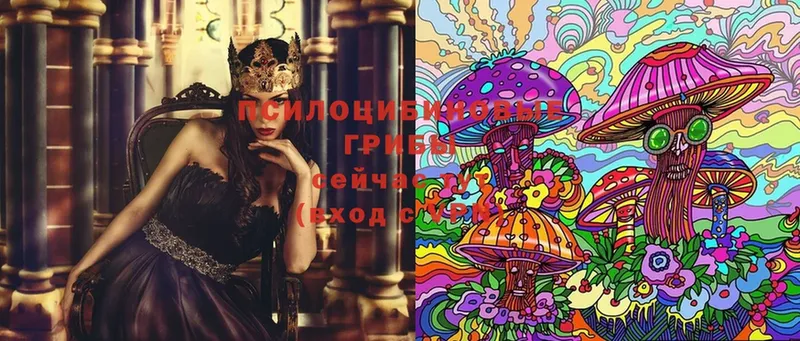 Псилоцибиновые грибы Magic Shrooms  Дмитров 